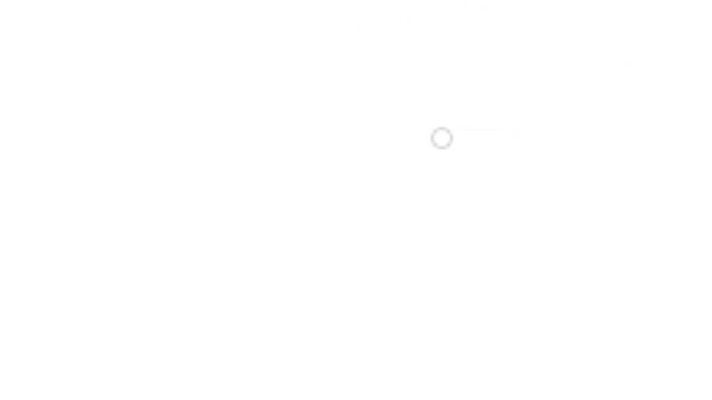 Hotel Shaan