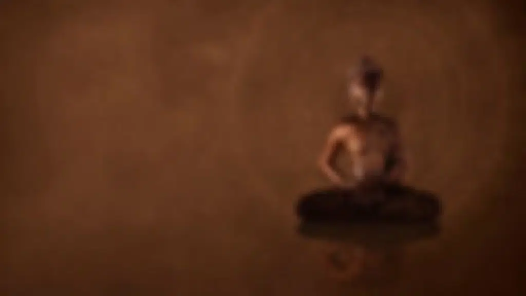 Ananda Yoga