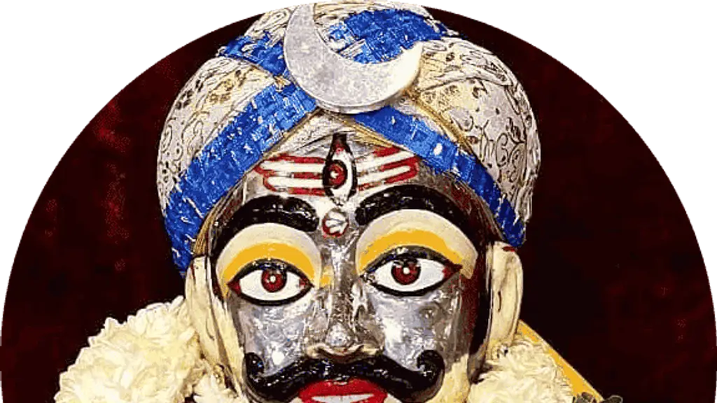 Kaal Sarp Pooja Expert Pandit Ji