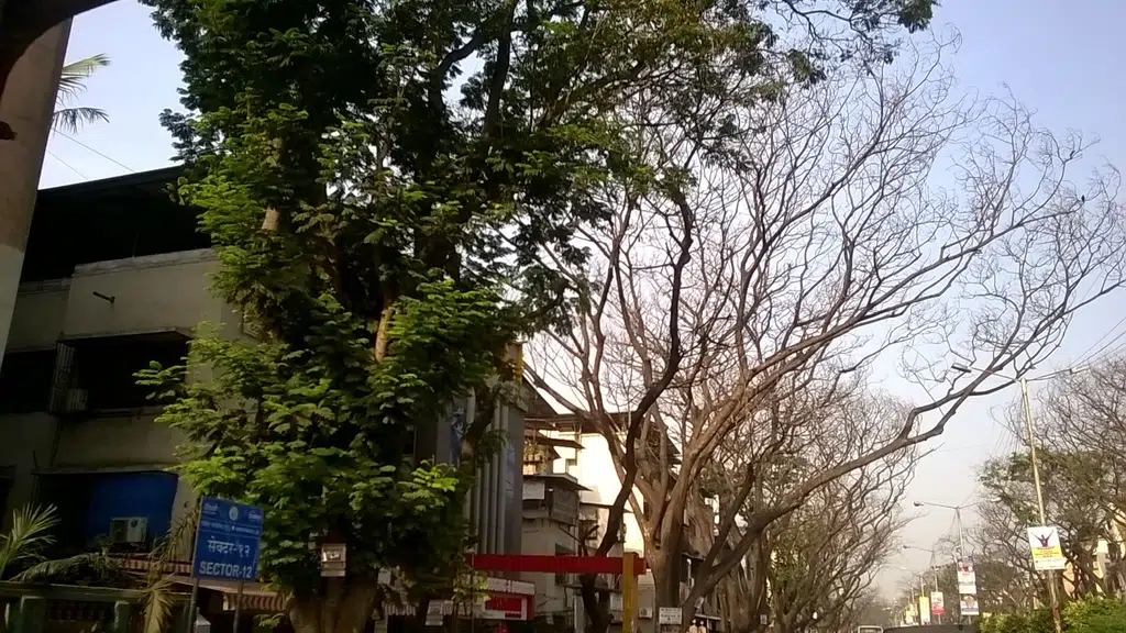 My Idea Store