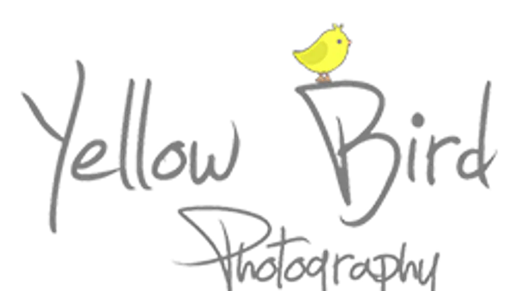Yellow Bird Photography