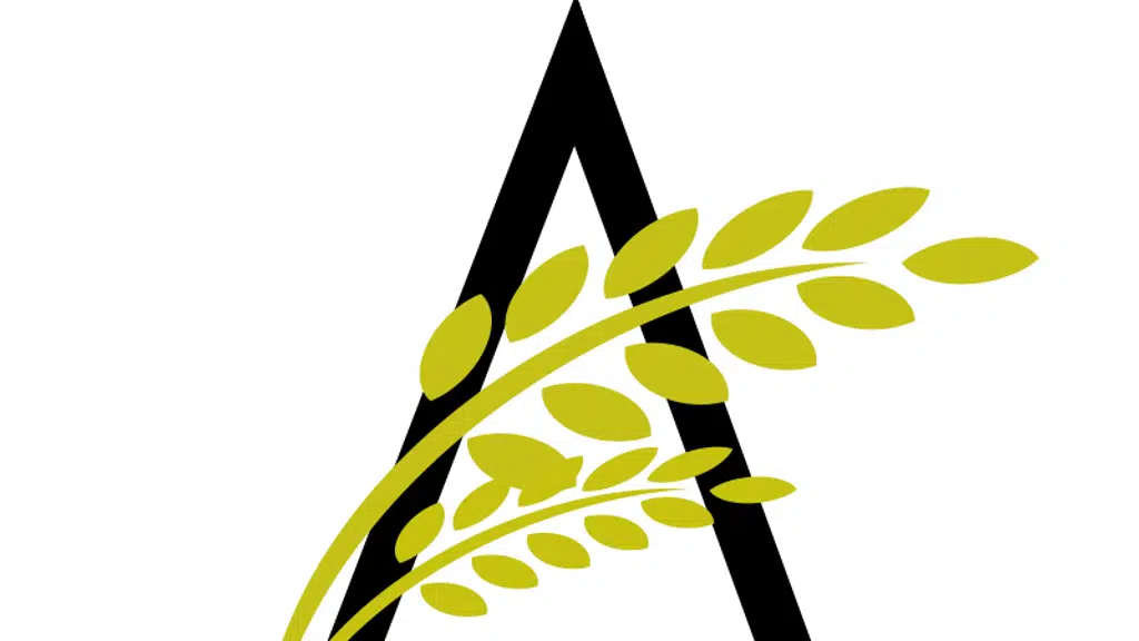 Aashiyana Home Stay