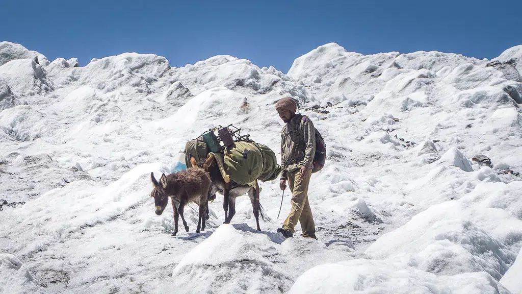 Chadar Trek Ladakh