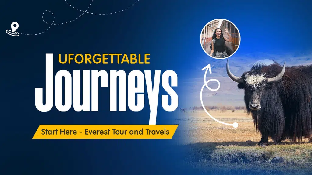 Everest Tours And Travels