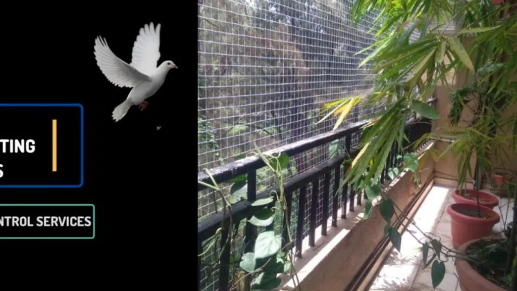 Perfect BIRD Netting