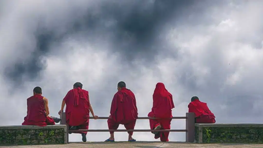 Singalila National Park - Tour and Trek