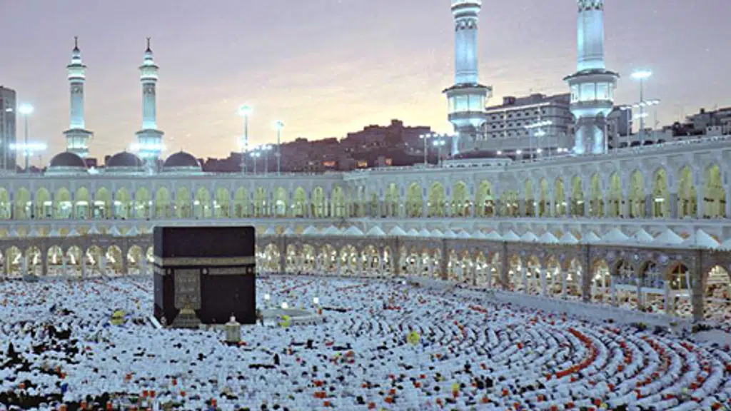 Mizan Tours and Travels