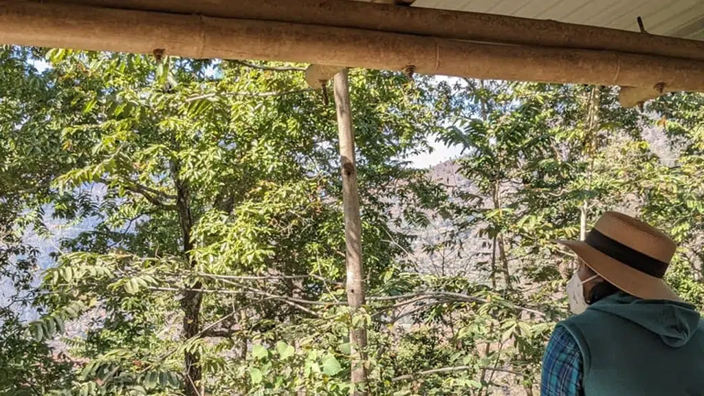 Glen Leu Farmstay