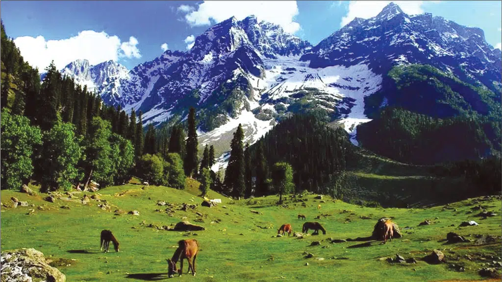 Kashmir Tour Operator Pride Of Holidays