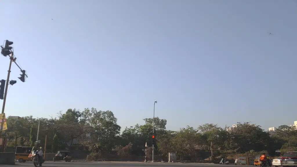 Organic Junction