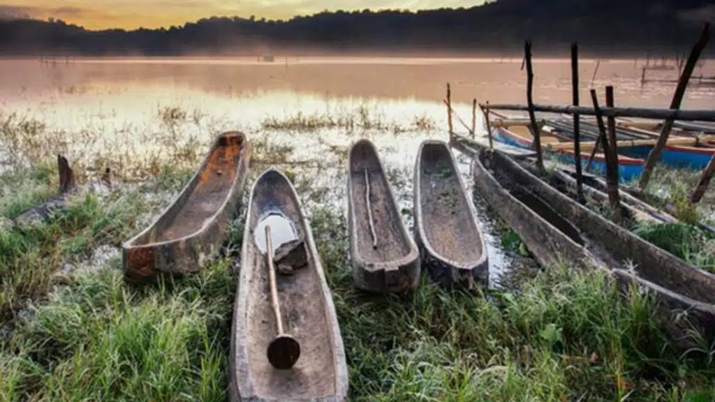 Serene Journeys