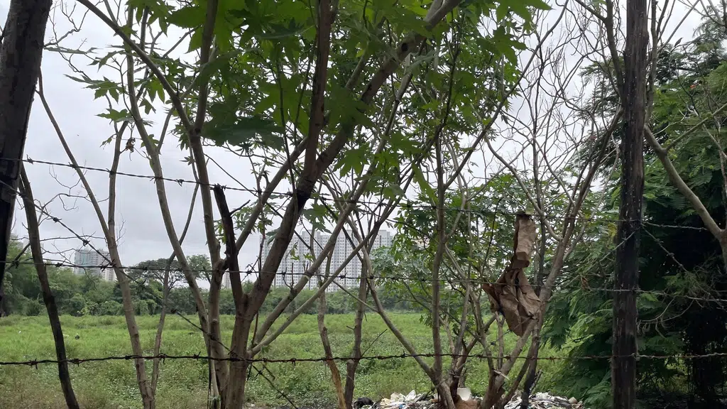 Goregaon Sports Club, Goregaon