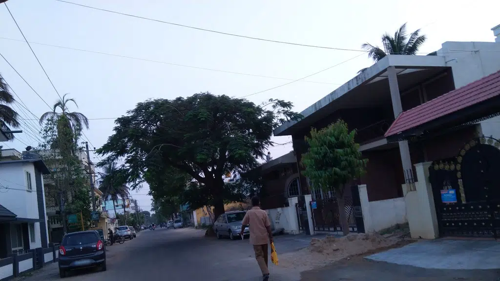 Aditya Non-Veg