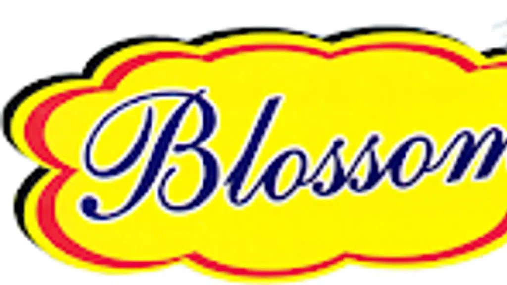 Blossom Public School