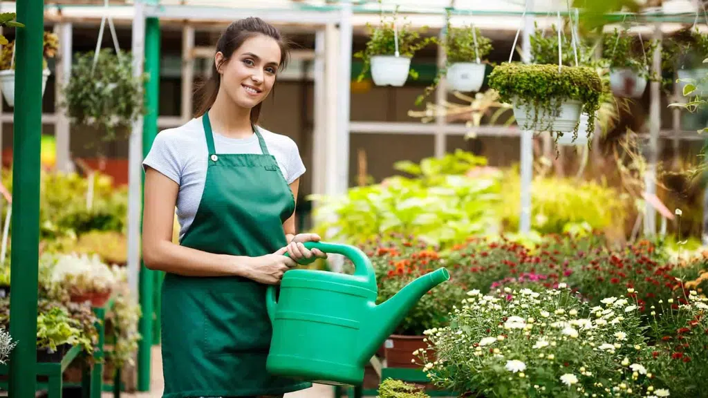 Rakshith Landscaping and Construction