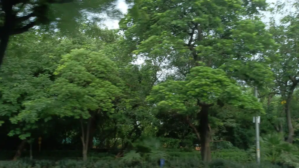Vinay Marg Sports Complex