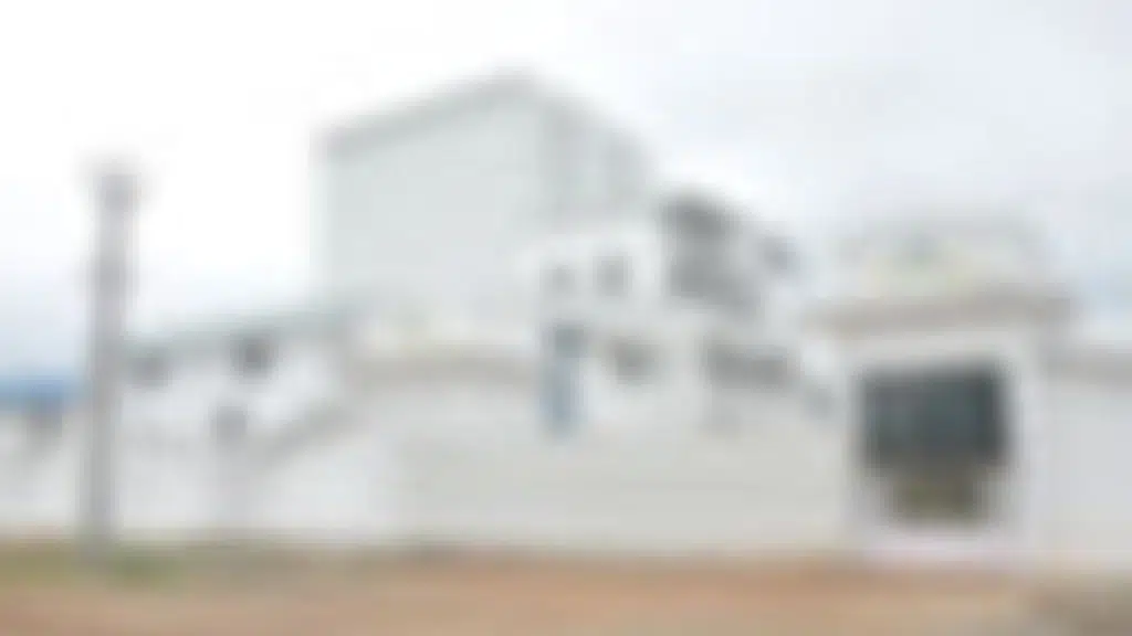 Aravally Processed Agrotech Private Limited
