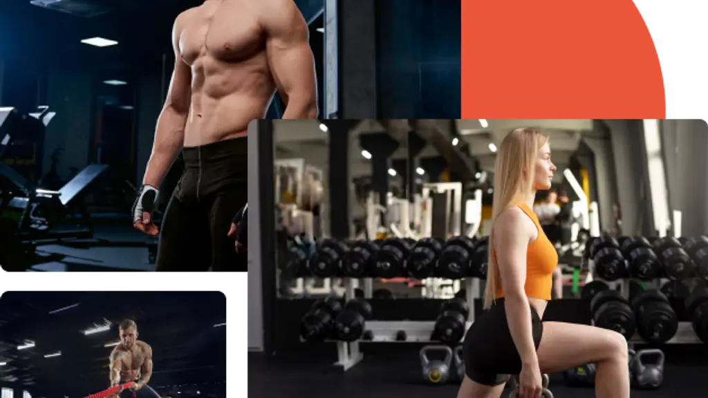 The Absolute Fitness 1