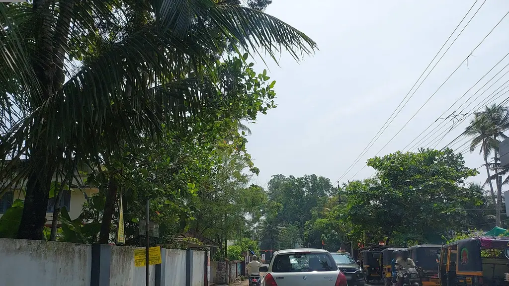 Thalayazham Gramapanchayat Karyalay