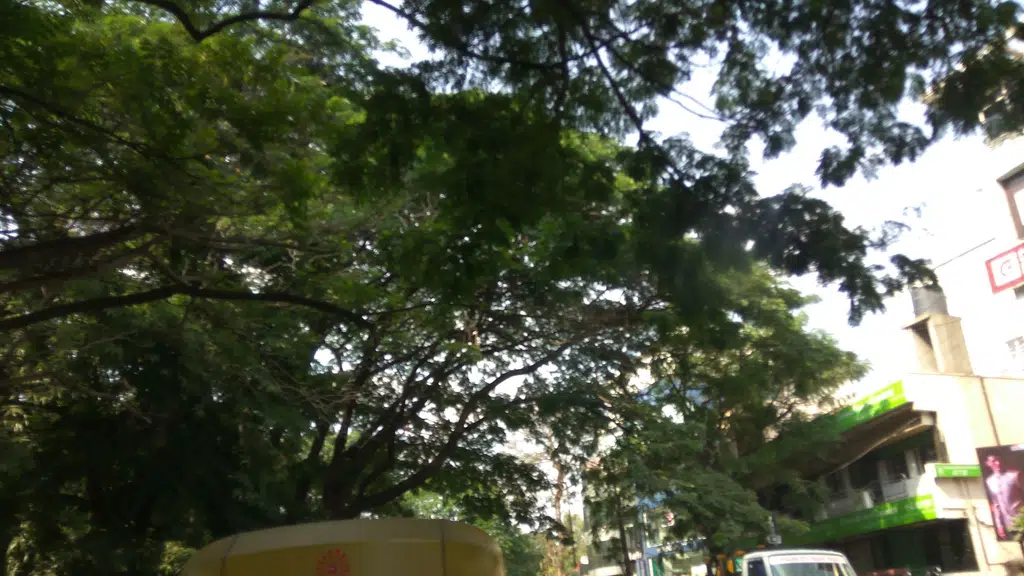 Jnana Mandira