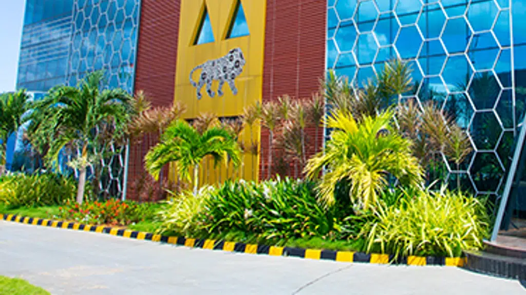 Amtz LTD