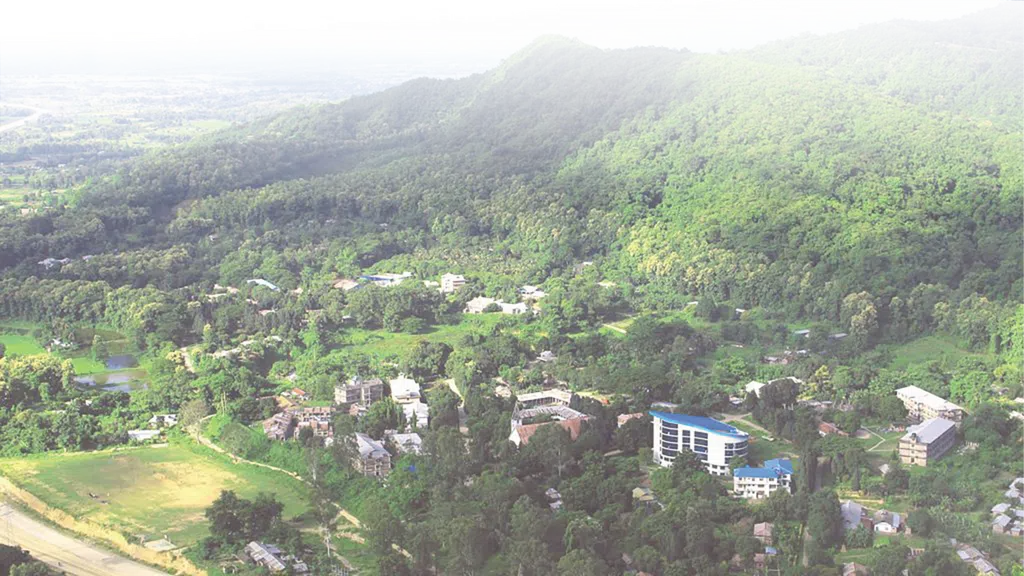 Patkai Christian College