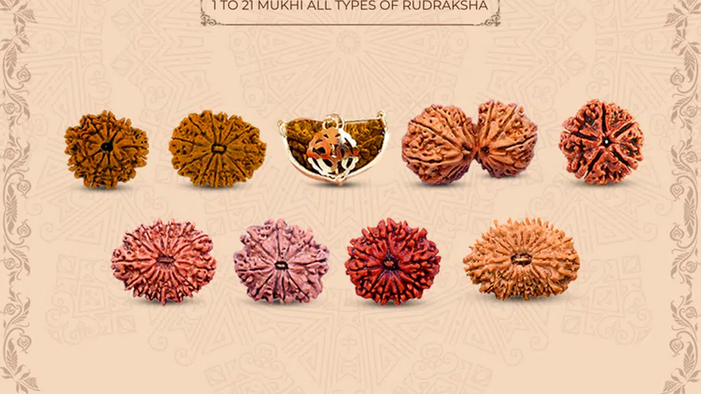 Shiv Kripa Rudraksha Kendra