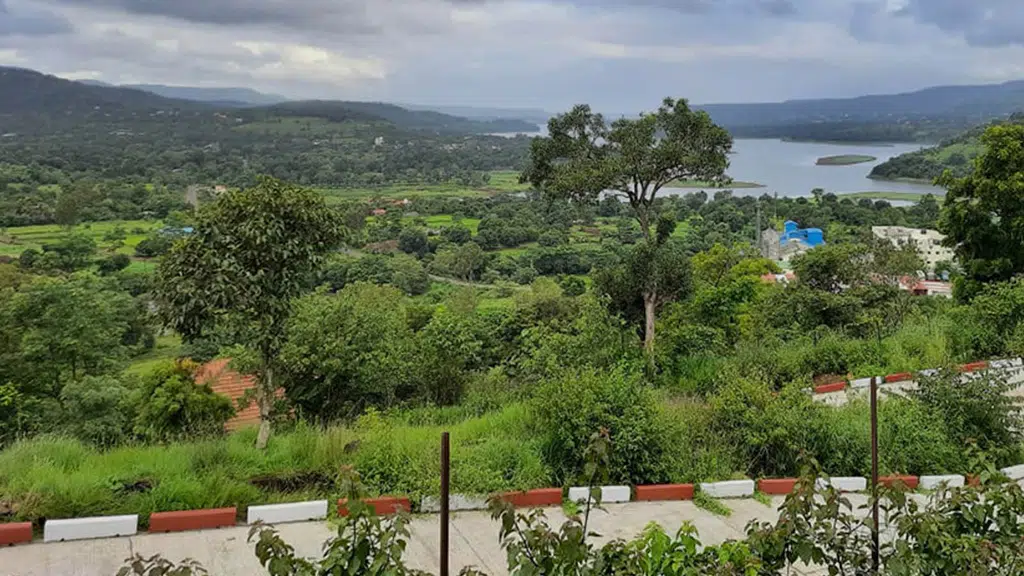 Navrang Farms
