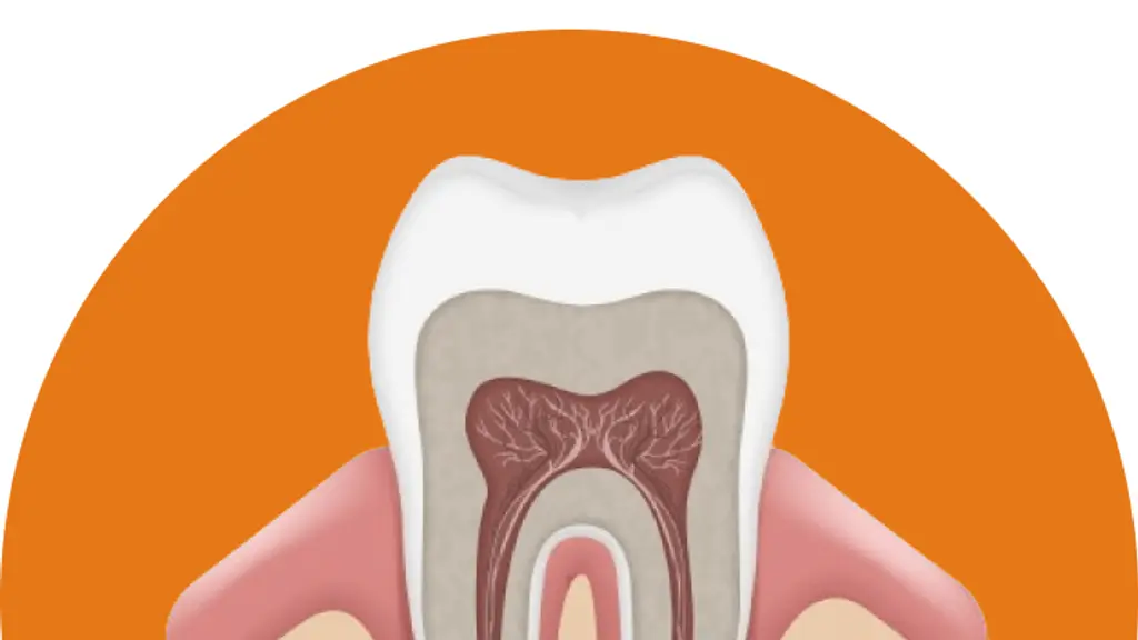 VS Dental Implant and Laser Centre