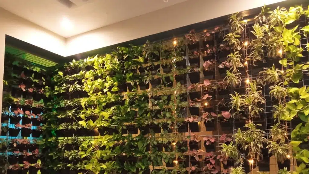 The Garden Hub