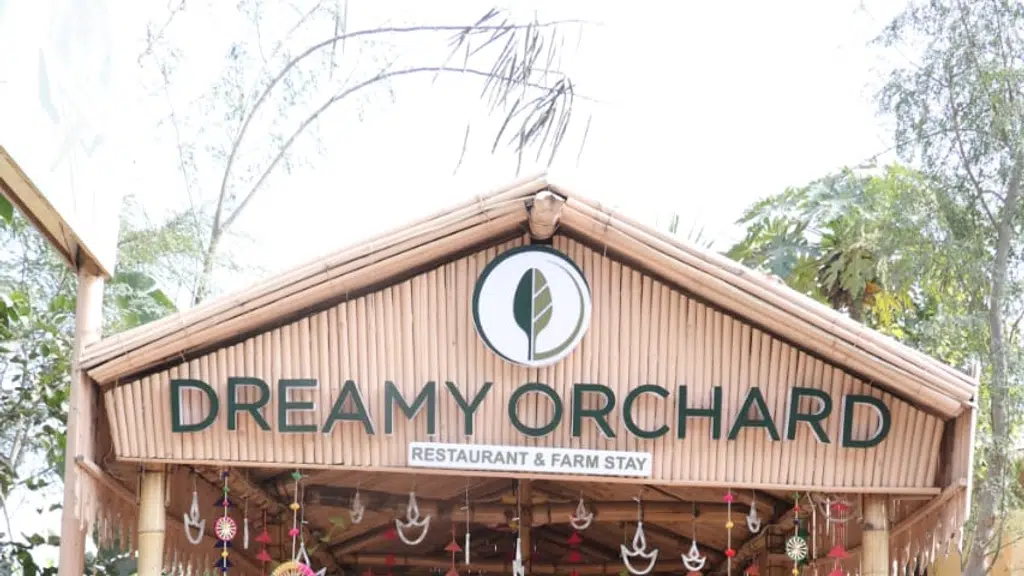 Dreamy Orchard