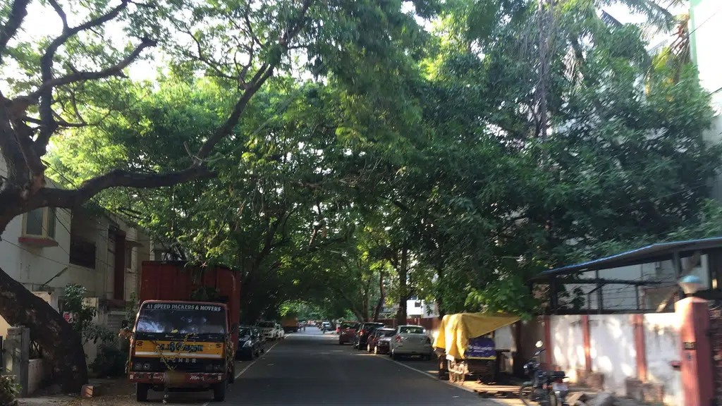 M Block Rohini Gardens