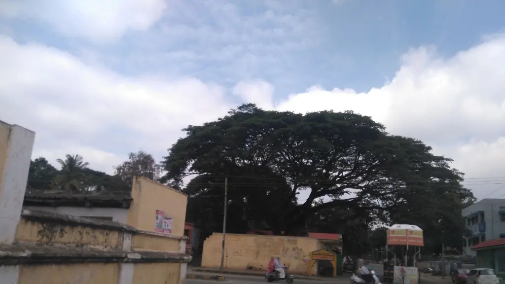 Maharani Government PU College