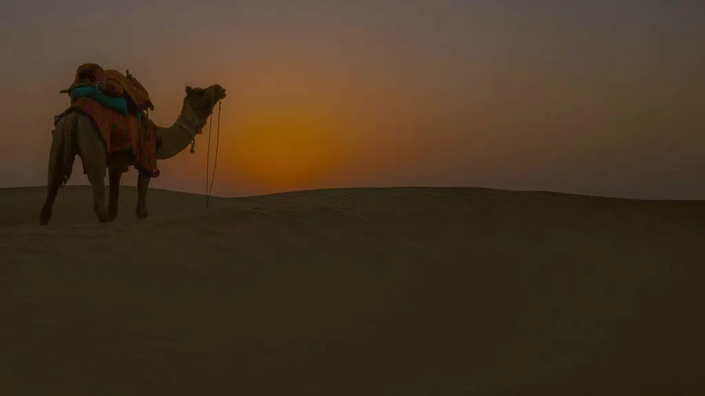 Mumal Desert Camp