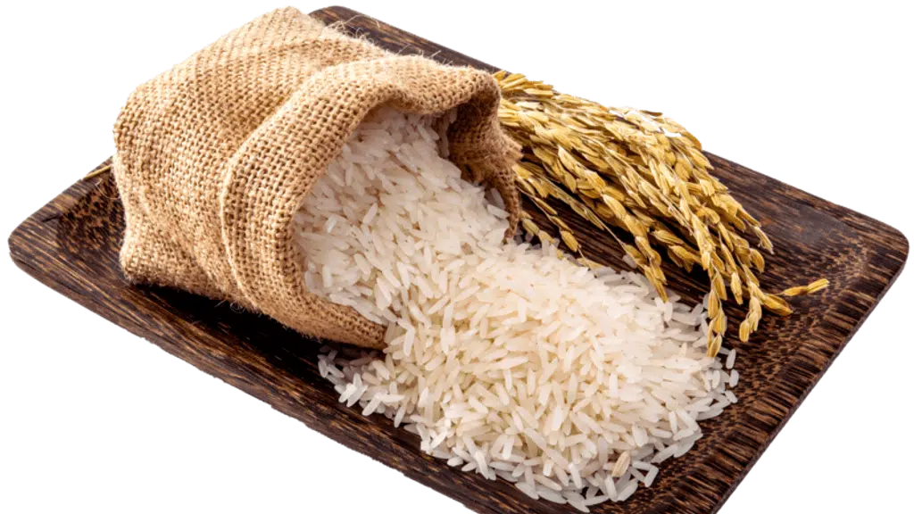 Shiva Kriti Agro Private Limited
