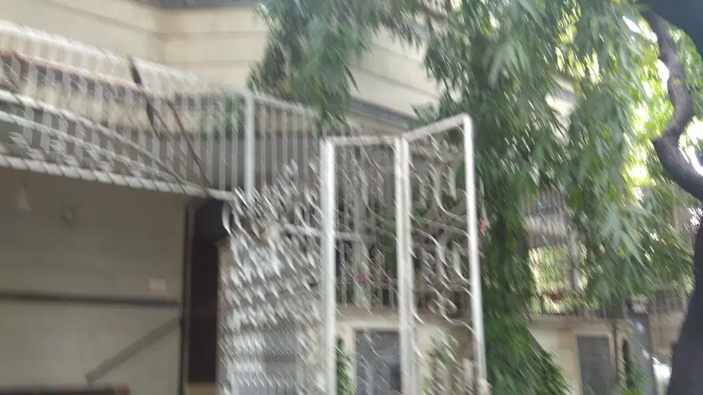 Malik Homoeo Clinic