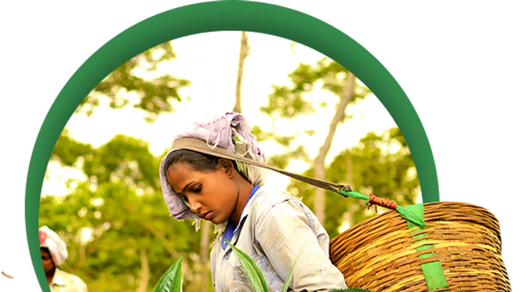 Darshanlal Jagdishparshad Private Limited