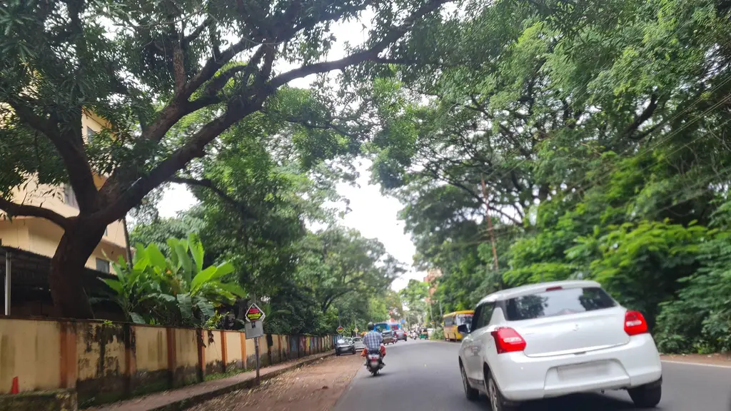 Skin Care Clinic, Kannur