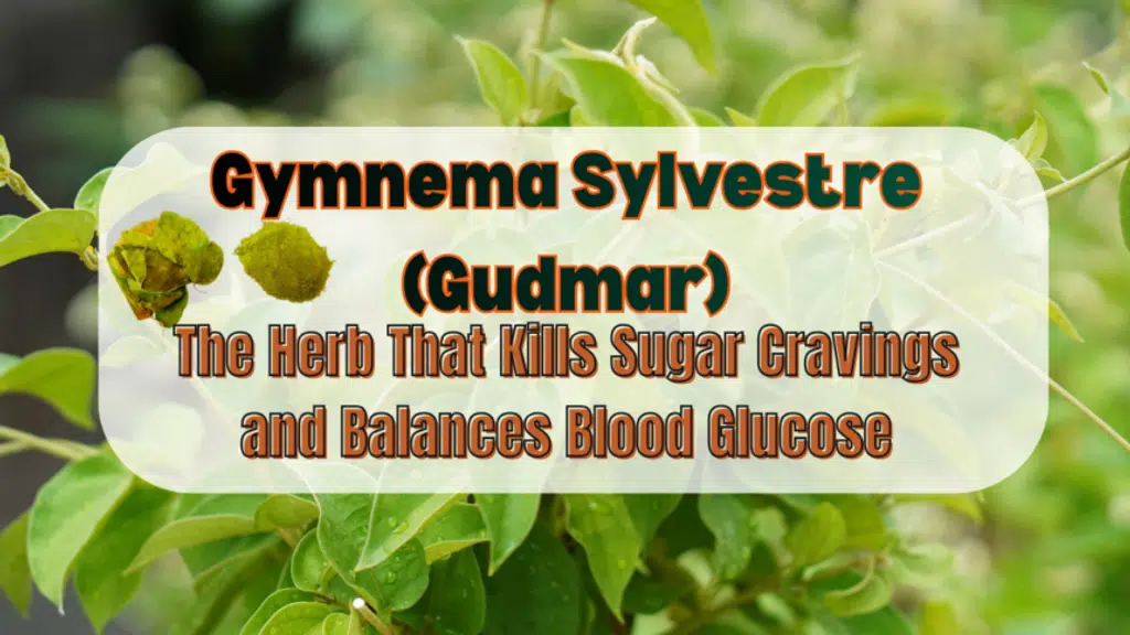 Panchamrut Ayurved Treatment and Research Center