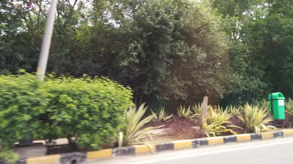 Institute of Aviation Management