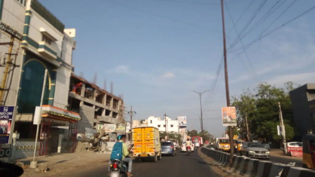 Porur Lake Fish Market
