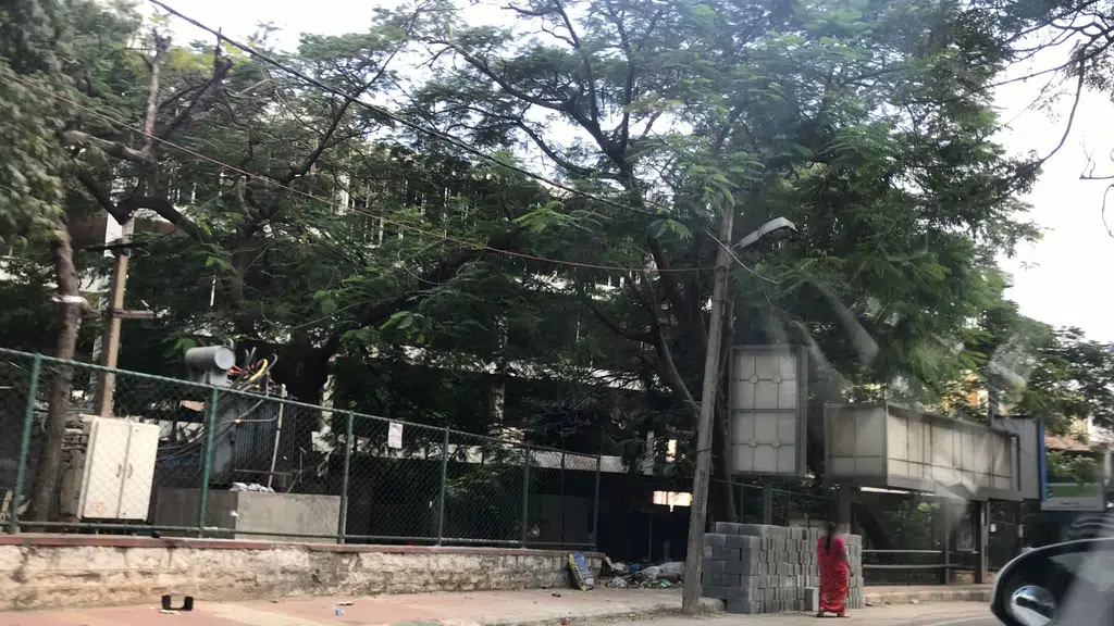 Ambika Glass House