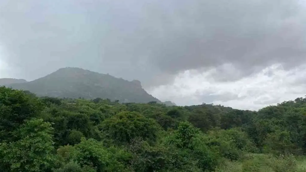 Hosur’s Premium Plots