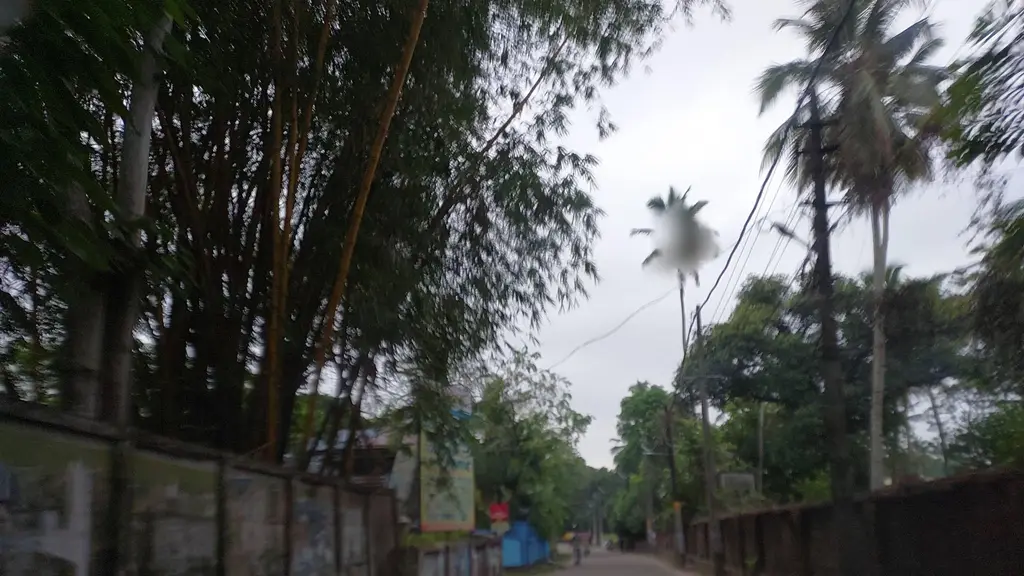 Puthiyidom Sreekrishna Swamy Temple