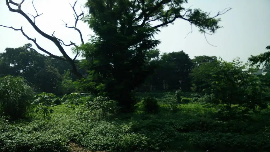 Sreebhumi Bus Stop