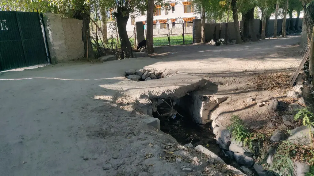 The Driftwood Ladakh