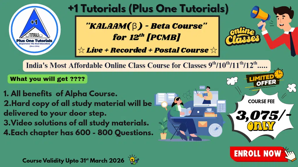 Plus One Tutorials
