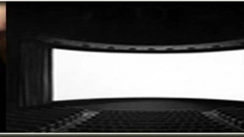Sri Vinayaka Cinemas