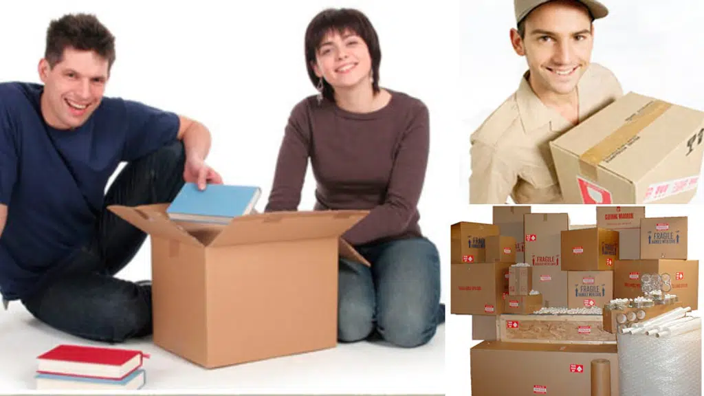Capital Logistics Packers and Movers
