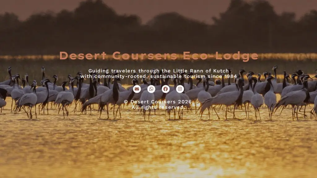 Desert Coursers